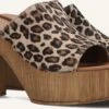 Notre-v 7189 Beige Pony Hair Mules with Leopard Print & Block Heel 1 Notre-v 7189 Beige Pony Hair Mules with Leopard Print & Block Heel -Teveo Geschaft 250821 1