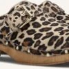 Notre-V 7743 Damen Clogs - Braun mit Leoprint aus edlem Ponyfell -Teveo Geschaft 250826 1