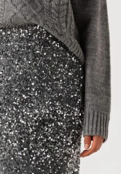 Notre-V NV-Embla Silberner Midirock – Eleganter Glitter-Look 7 Notre-V NV-Embla Silberner Midirock – Eleganter Glitter-Look -Teveo Geschaft 298772 3