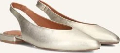 Goldfarbig Blasz Slingbacks Cl15593