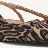 Toral Luisa Slingbacks - Braune Leoprint Damenschuhe aus Wildleder 1 Toral Luisa Slingbacks - Braune Leoprint Damenschuhe aus Wildleder -Teveo Geschaft 304227 1