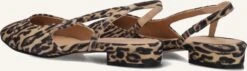 Toral Luisa Slingbacks - Braune Leoprint Damenschuhe aus Wildleder 8 Toral Luisa Slingbacks - Braune Leoprint Damenschuhe aus Wildleder -Teveo Geschaft 304227 3