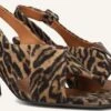 Billi Bi Damen Slingbacks A8378 - Brauner Leoprint mit Blockabsatz -Teveo Geschaft 309640 1