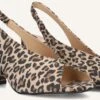 Notre-v Beige Slingbacks 16068 - Leoprint Peeptoes mit Blockabsatz 2 Notre-v Beige Slingbacks 16068 - Leoprint Peeptoes mit Blockabsatz -Teveo Geschaft 309846 1