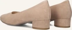 Hassia Roma Suede Pumps in Elegant Taupe -Teveo Geschaft 310283 3