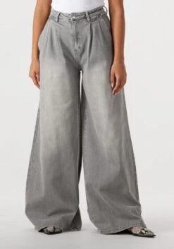Janice Dollar Wide Leg Stretch Jeans - Grau
