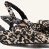 Blasz DAW0798 Schwarze Slingbacks mit Leo-Print 2 Blasz DAW0798 Schwarze Slingbacks mit Leo-Print -Teveo Geschaft 319413 1