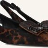 Lodi Slingbacks Rino - Braune Damen Kitten Heels mit Leo-Print 2 Lodi Slingbacks Rino - Braune Damen Kitten Heels mit Leo-Print -Teveo Geschaft 333354 1