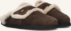 Nubikk Teddy Furry Brown Suede Slippers for Women