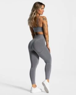 Evolution V2 Bh "Grau" -Teveo Geschaft Evolution Leggings grau 3885 48acfdfb 9888 4dd7 b7c9 082785094ae4