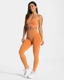 Evolution V2 Leggings "Orange" -Teveo Geschaft Evolution Leggings orange 3999