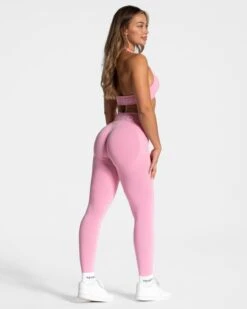 Signature Scrunch Leggings "Pink" 11 Signature Scrunch Leggings "Pink" -Teveo Geschaft Signature Leggings Pink 0071